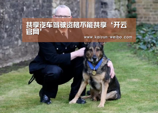共享汽车驾驶资格不能共享‘开云官网’(图3) 赛事数据